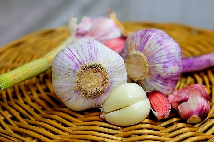 فوائد الثوم