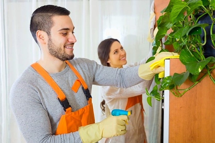 مساعدة الزوجة