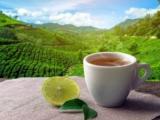 فوائد شاي الليمون
