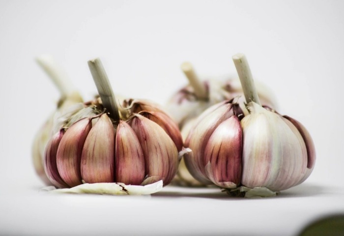 فوائد الثوم